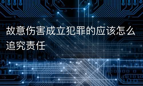 故意伤害成立犯罪的应该怎么追究责任