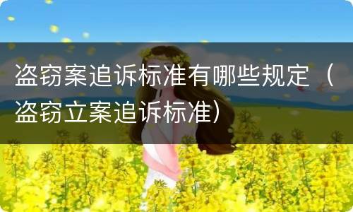 盗窃案追诉标准有哪些规定（盗窃立案追诉标准）