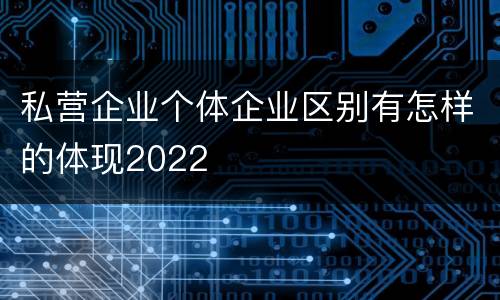 私营企业个体企业区别有怎样的体现2022