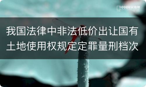 我国法律中非法低价出让国有土地使用权规定定罪量刑档次有哪些