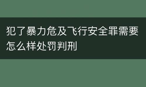犯了暴力危及飞行安全罪需要怎么样处罚判刑