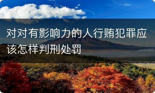 对对有影响力的人行贿犯罪应该怎样判刑处罚
