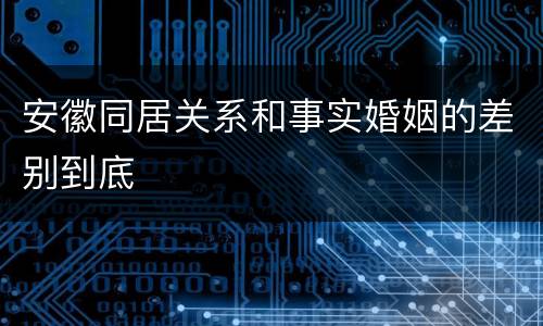 安徽同居关系和事实婚姻的差别到底