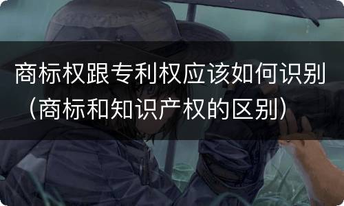 商标权跟专利权应该如何识别（商标和知识产权的区别）