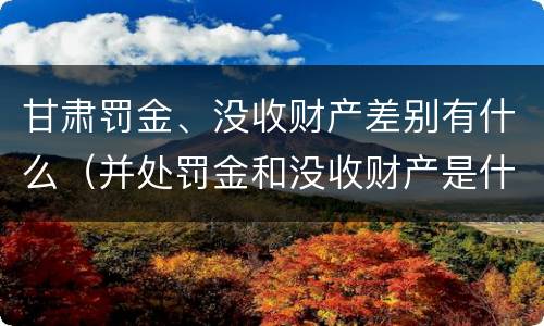 甘肃罚金、没收财产差别有什么（并处罚金和没收财产是什么意思）