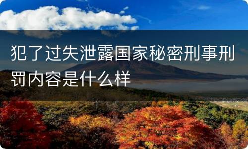 犯了过失泄露国家秘密刑事刑罚内容是什么样