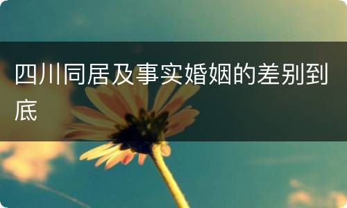 四川同居及事实婚姻的差别到底