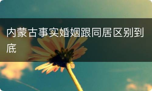 内蒙古事实婚姻跟同居区别到底