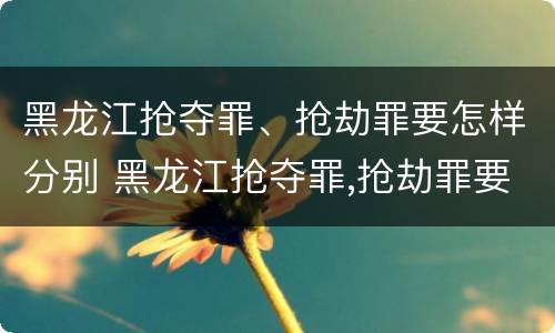 黑龙江抢夺罪、抢劫罪要怎样分别 黑龙江抢夺罪,抢劫罪要怎样分别认定