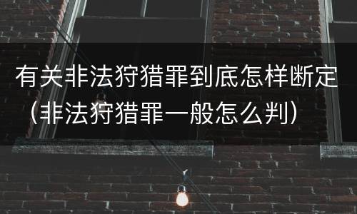 有关非法狩猎罪到底怎样断定（非法狩猎罪一般怎么判）