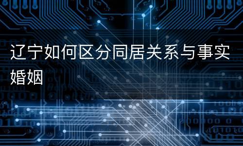 辽宁如何区分同居关系与事实婚姻