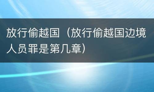 放行偷越国（放行偷越国边境人员罪是第几章）