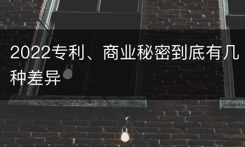 2022专利、商业秘密到底有几种差异