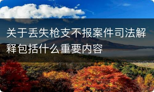 关于丢失枪支不报案件司法解释包括什么重要内容