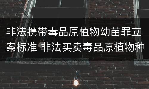 非法携带毒品原植物幼苗罪立案标准 非法买卖毒品原植物种子幼苗罪