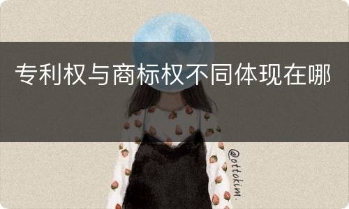 专利权与商标权不同体现在哪