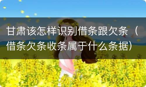 甘肃该怎样识别借条跟欠条（借条欠条收条属于什么条据）