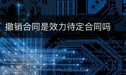 撤销合同是效力待定合同吗