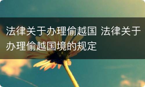法律关于办理偷越国 法律关于办理偷越国境的规定