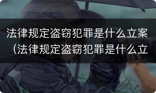法律规定盗窃犯罪是什么立案（法律规定盗窃犯罪是什么立案标准）