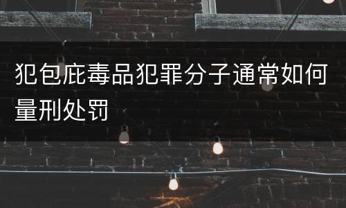 犯包庇毒品犯罪分子通常如何量刑处罚