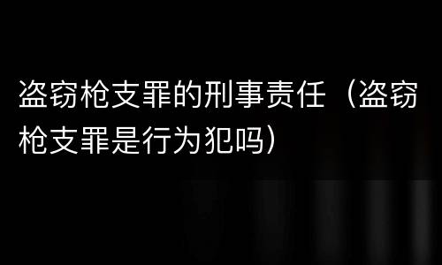 盗窃枪支罪的刑事责任（盗窃枪支罪是行为犯吗）