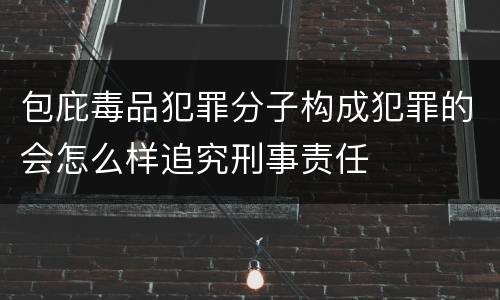 包庇毒品犯罪分子构成犯罪的会怎么样追究刑事责任