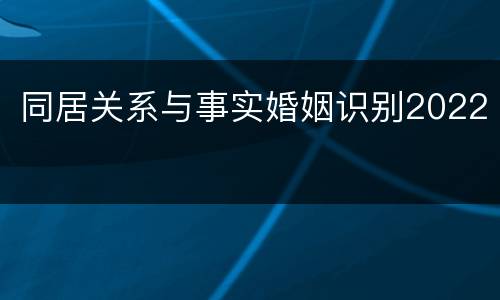 同居关系与事实婚姻识别2022