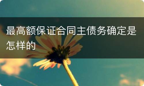 最高额保证合同主债务确定是怎样的