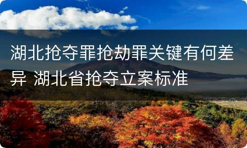 湖北抢夺罪抢劫罪关键有何差异 湖北省抢夺立案标准