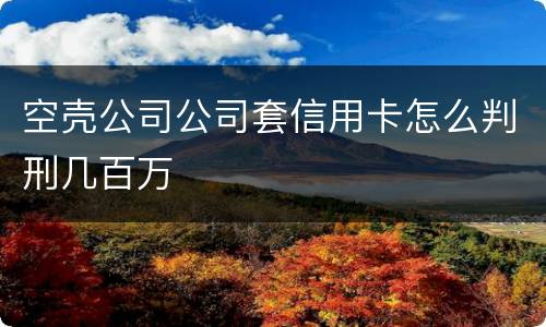 空壳公司公司套信用卡怎么判刑几百万
