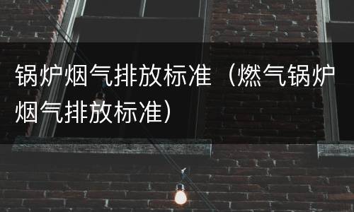 锅炉烟气排放标准（燃气锅炉烟气排放标准）