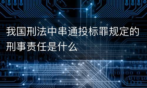 我国刑法中串通投标罪规定的刑事责任是什么
