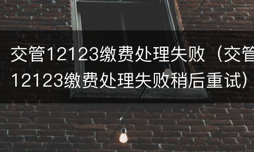 交管12123缴费处理失败（交管12123缴费处理失败稍后重试）