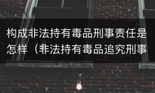 构成非法持有毒品刑事责任是怎样（非法持有毒品追究刑事责任吗）