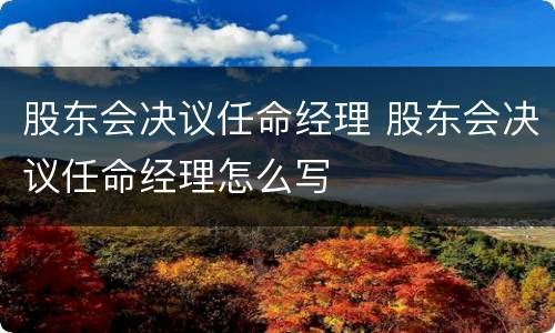 股东会决议任命经理 股东会决议任命经理怎么写