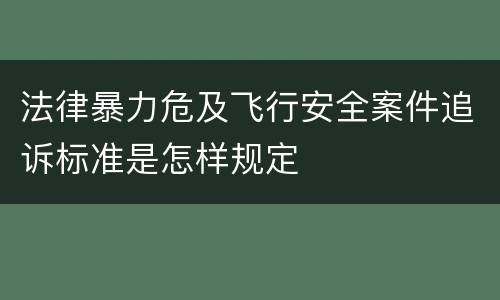 法律暴力危及飞行安全案件追诉标准是怎样规定