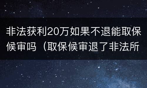 非法获利20万如果不退能取保候审吗（取保候审退了非法所得）