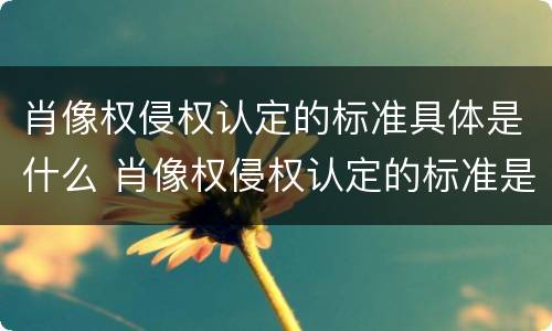肖像权侵权认定的标准具体是什么 肖像权侵权认定的标准是什么民法典