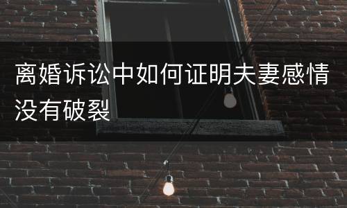 离婚诉讼中如何证明夫妻感情没有破裂