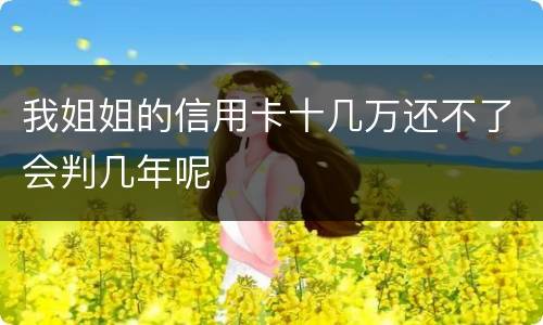 我姐姐的信用卡十几万还不了会判几年呢