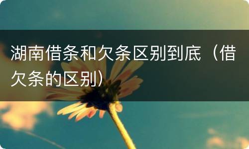 湖南借条和欠条区别到底（借欠条的区别）