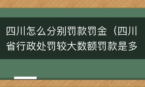四川怎么分别罚款罚金（四川省行政处罚较大数额罚款是多少）