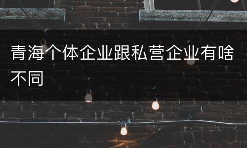 青海个体企业跟私营企业有啥不同