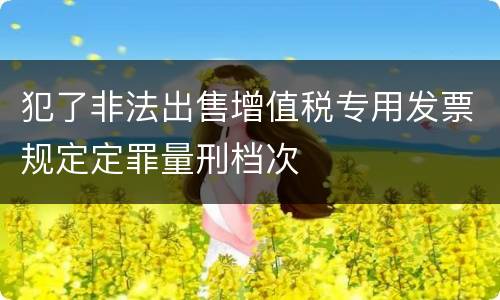 犯了非法出售增值税专用发票规定定罪量刑档次