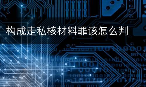 构成走私核材料罪该怎么判