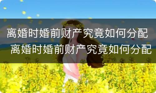 离婚时婚前财产究竟如何分配 离婚时婚前财产究竟如何分配好