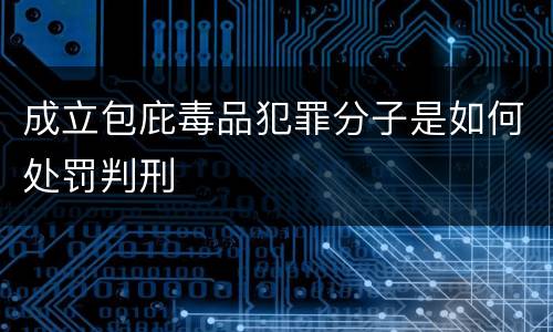 成立包庇毒品犯罪分子是如何处罚判刑