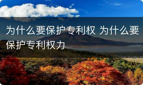 为什么要保护专利权 为什么要保护专利权力