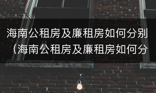 海南公租房及廉租房如何分别（海南公租房及廉租房如何分别出租）